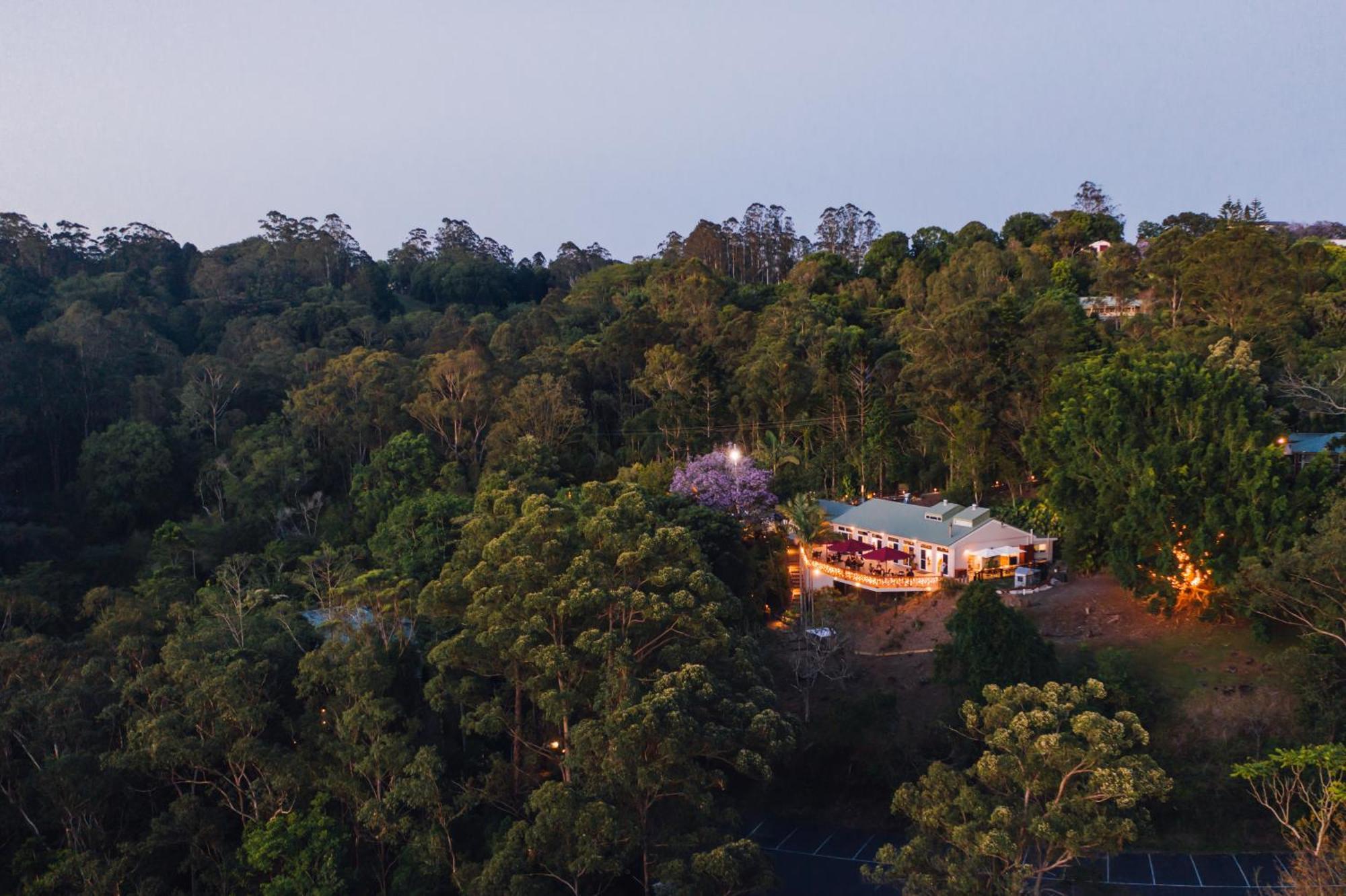 Kondalilla Eco Resort Montville Exterior photo