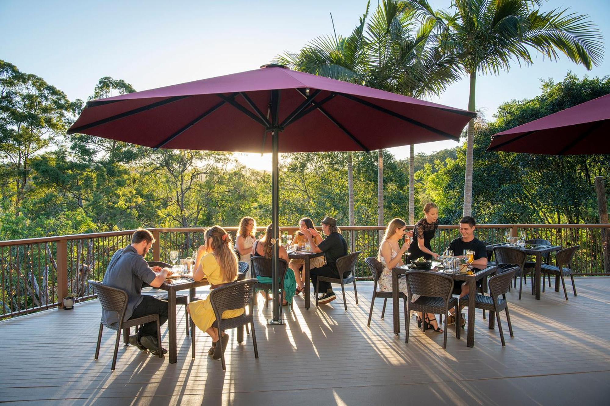 Kondalilla Eco Resort Montville Exterior photo