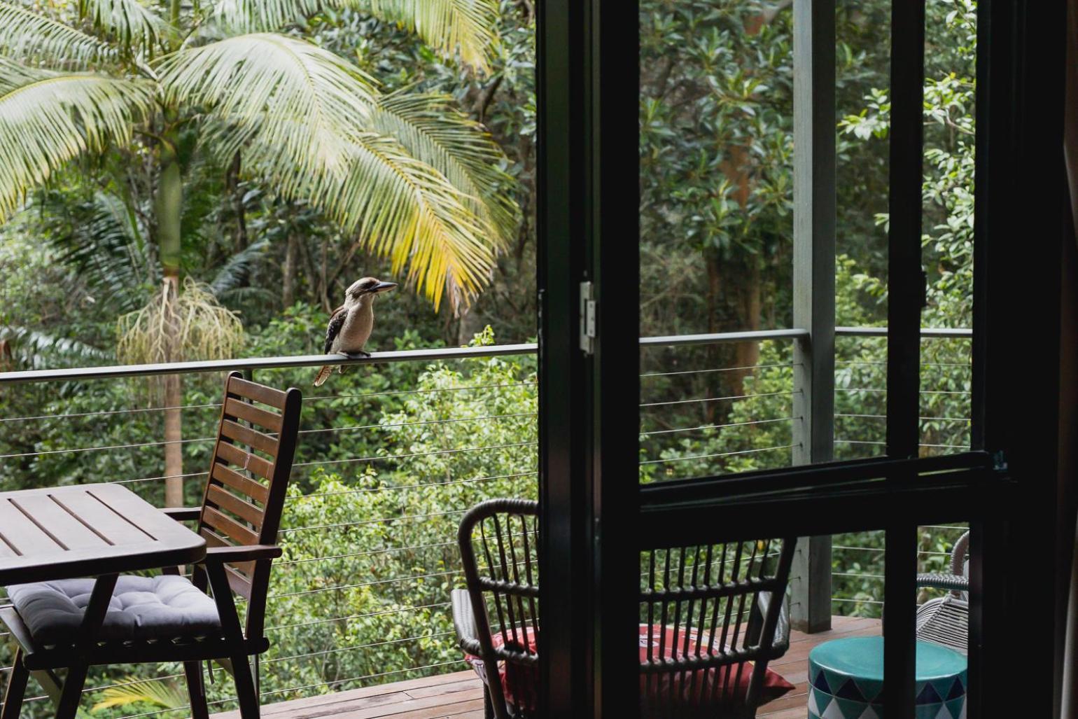Kondalilla Eco Resort Montville Exterior photo