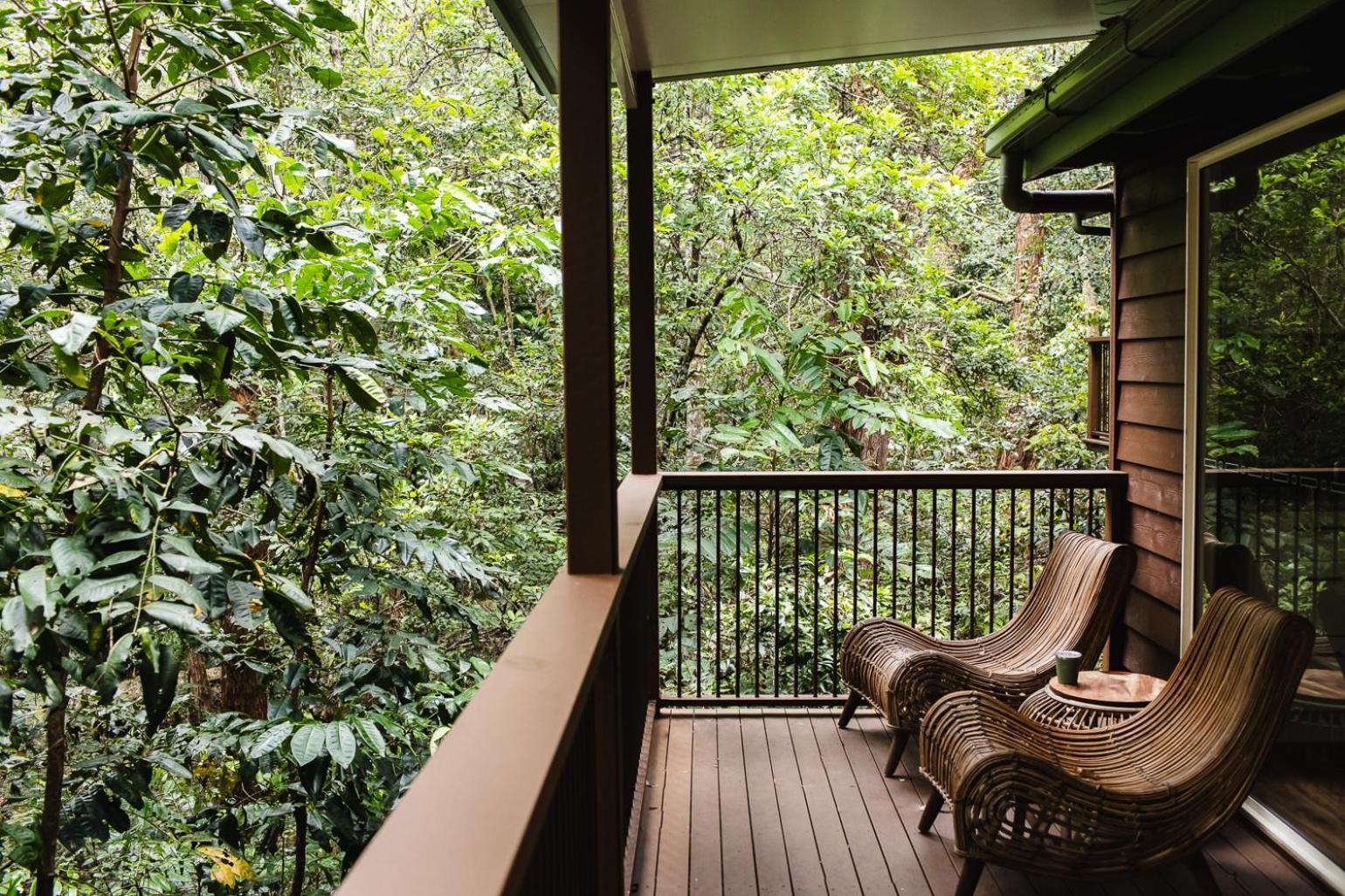 Kondalilla Eco Resort Montville Exterior photo