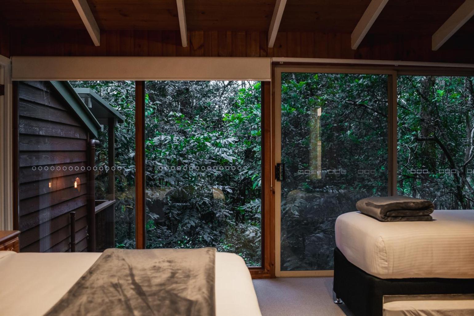 Kondalilla Eco Resort Montville Exterior photo