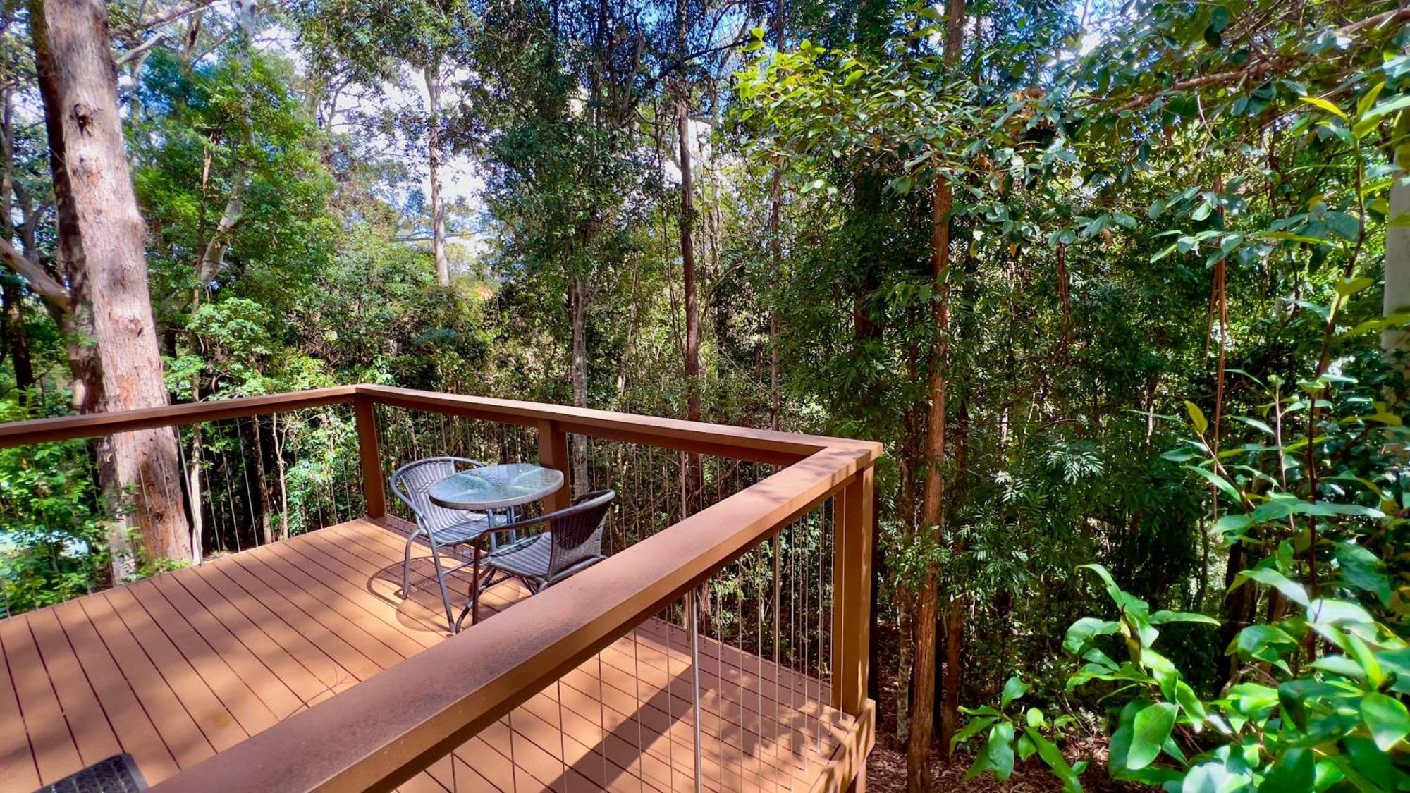 Kondalilla Eco Resort Montville Exterior photo