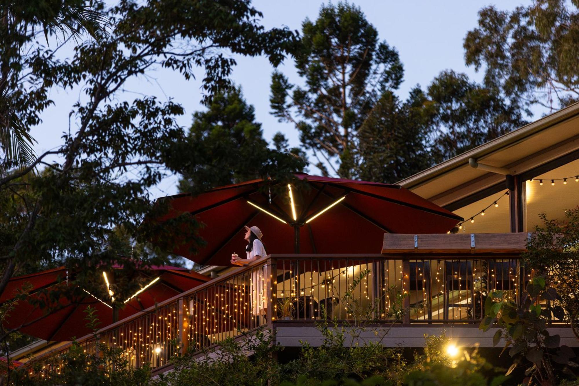 Kondalilla Eco Resort Montville Exterior photo
