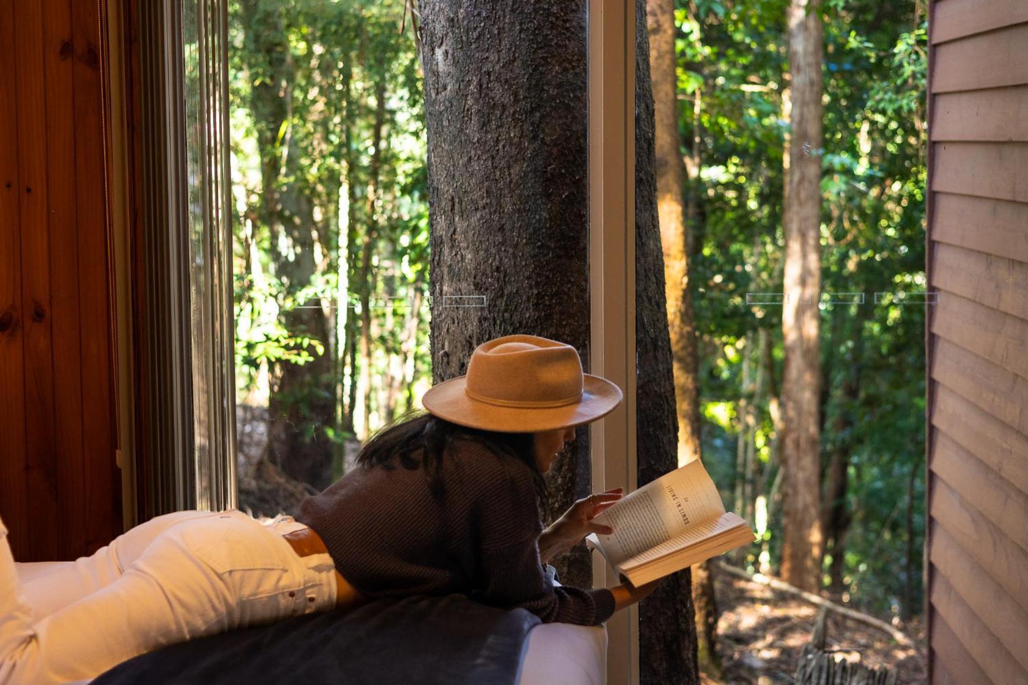 Kondalilla Eco Resort Montville Exterior photo
