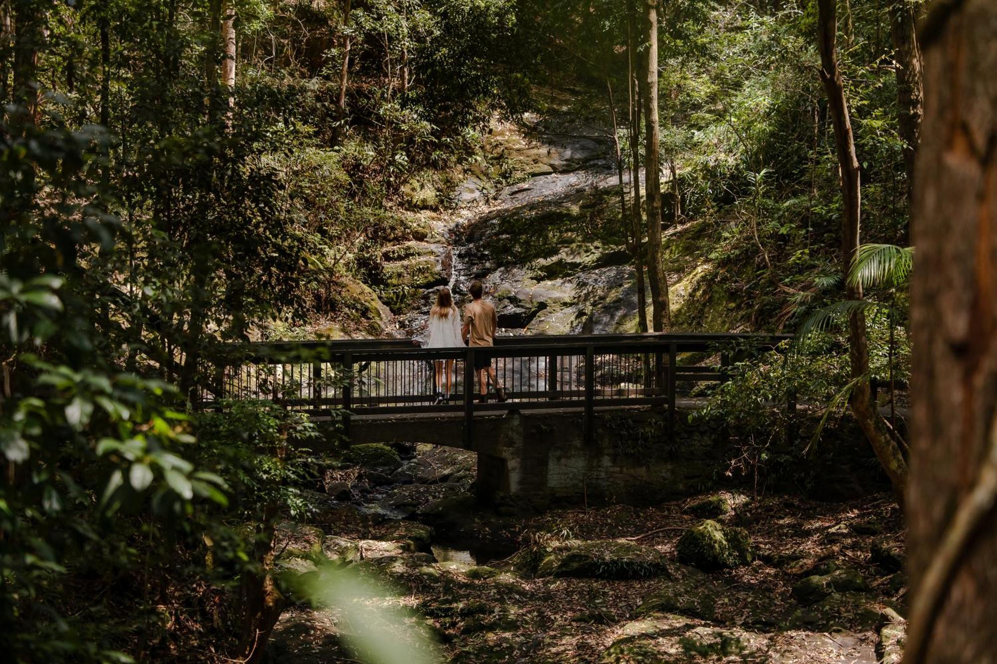 Kondalilla Eco Resort Montville Exterior photo