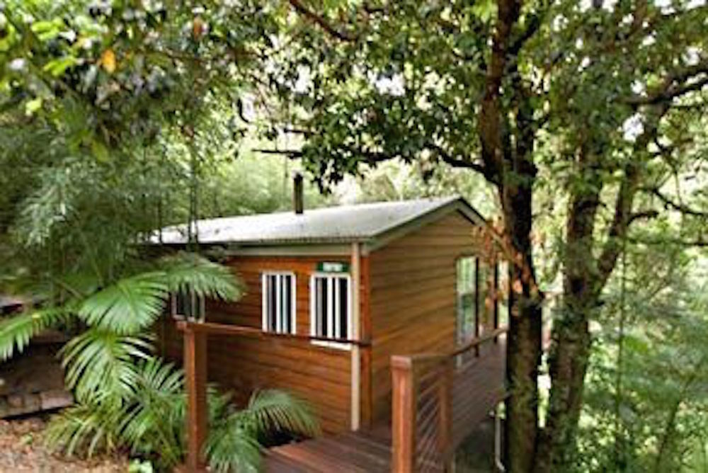 Kondalilla Eco Resort Montville Exterior photo